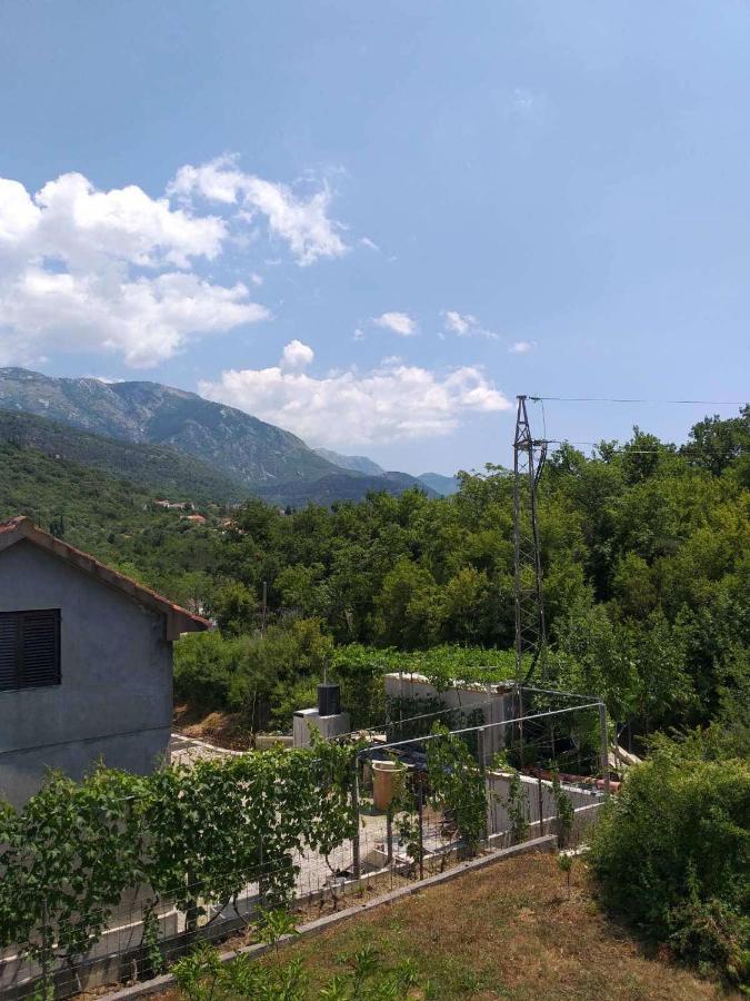 Apartment Davidovic Tivat Exteriör bild