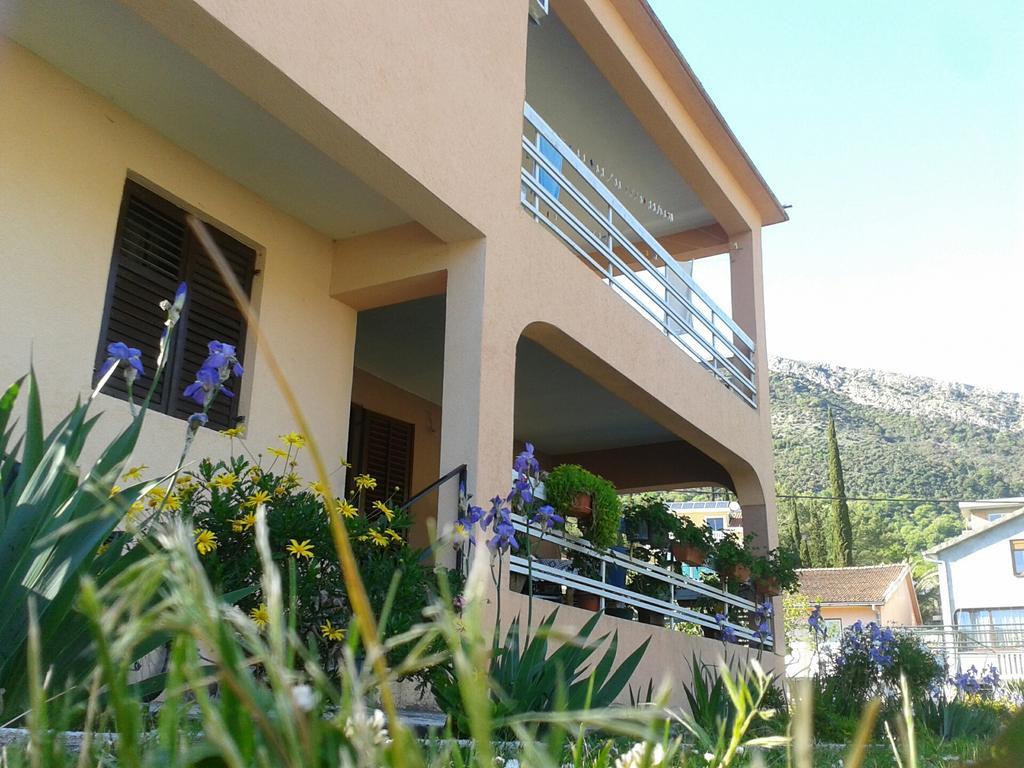 Apartment Davidovic Tivat Rum bild