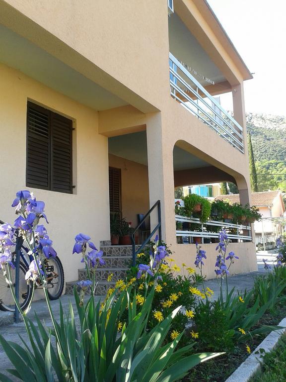 Apartment Davidovic Tivat Rum bild